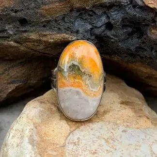 Bumblebee Jasper
