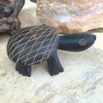 Moroccan Sahara Primitive Turtle