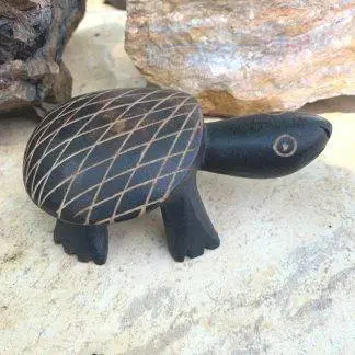 Moroccan Sahara Primitive Turtle