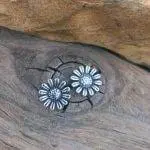 Sterling Daisy Flower Studs Earrings