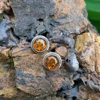 an image of a pair of Round Amber and Sterling Silver Stud Earrings