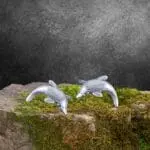 an image of a pair of Sterling Silver Dolphin Stud earrings with the dolphins arching as if jumping out of the water.