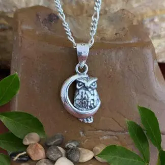 an image of a Petite Sterling Silver Owl in Moon Pendant