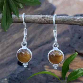 an image of a pair of Petite Round Tiger's Eye and Sterling Silver Earrings