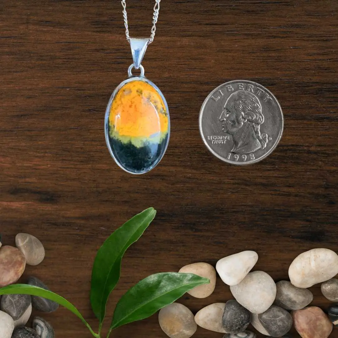 an image of an Oval Bumblee Bee Jasper and Sterling Silver Pendant next to a quarter
