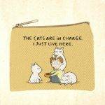 Cat Themed Coin Purse