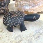 Moroccan Sahara Primitive Turtle