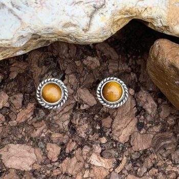 Round Tiger's Eye Studs