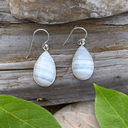 Teardrop Botswana Agate Earrings in Sterling Silver