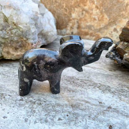 Moroccan Fossil Stone Elephant Sculpture 5 inches long and 2.5 inches high. Made in Morocco. Black stone showing bits of fossil on back hip.