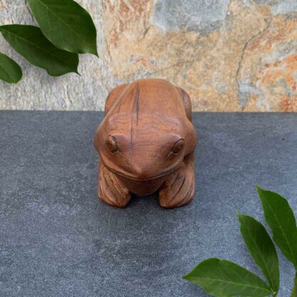 Handcrafted Moroccan Wood Frog that is 7 inches long. Angle from front