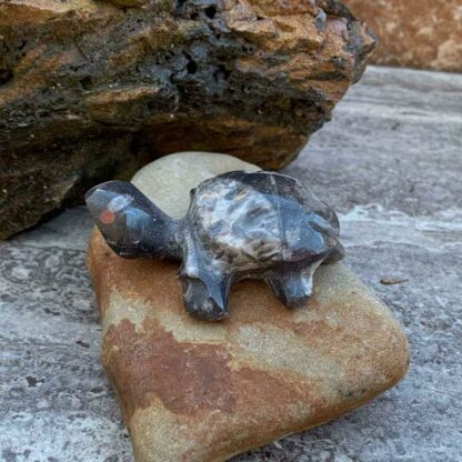 Hand Carved Baby Moroccan Fossil Turtle 2.25 inches long