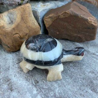 Hand carved Stone turtle made of stone and fossil from Morocco.