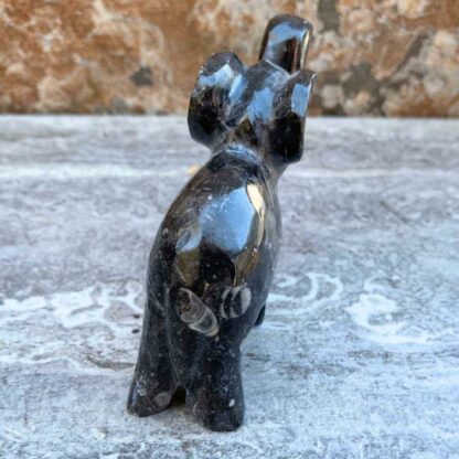 Moroccan Fossil Stone Elephant Sculpture 5 inches long and 2.5 inches high. Made in Morocco. Black stone showing bits of fossil on back hip.