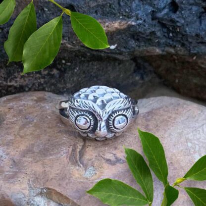 an image of a sterling silver ring with an owl head