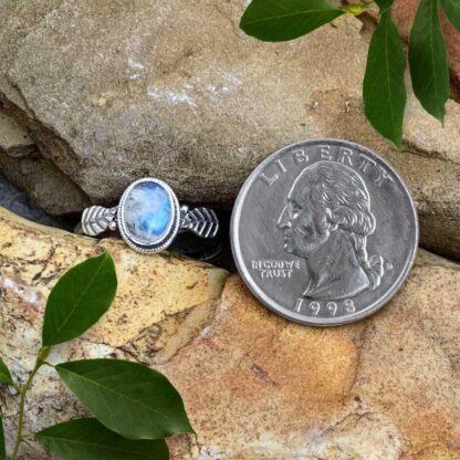 an oval rainbow moonstone gemstone Ring with a sterling silver leaf on each side