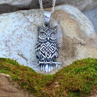 an image of a Sterling Silver Celtic Owl sitting on a Key with a Trinity Knot Pendant