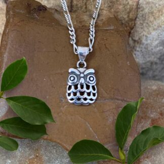 an image of a Petite Sterling Silver Owl Pendant