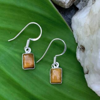 an image of a pair of Dainty Rectangle Tiger's Eye and Sterling Silver Earrings