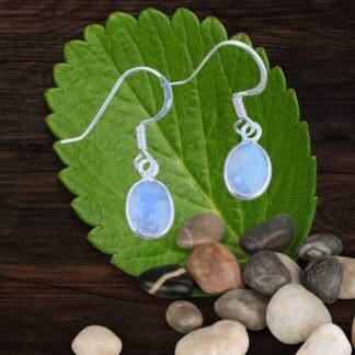 an image of a pair of Petite Oval Rainbow Moonstone and Sterling Silver Earrings