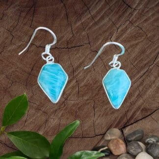 an image of a pair of Amazonite and Sterling Silver Dangle Earrings